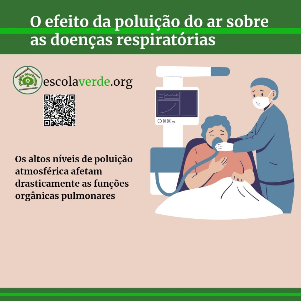 Os Efeitos Da Polui O Do Ar Para As Doen As Respirat Rias Programa