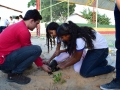 Ações de arborização ocorrem em 3 escolas: Anézio Leão, Professora Heloisa Helena e Luiza de Castro. Cerca de 190 de Juazeiro e Petrolina participaram.