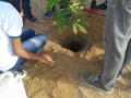 Ações de Arborização são realizadas por alunos de Juazeiro (25/10) e Petrolina (27/10).