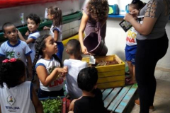 AÇÕES EM HORTAS INSTRUI CRIANÇAS SOBRE A FISIOLOGIA DAS PLANTAS.