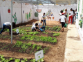 Projeto “Boa alimentação faz bem para o coração”. Escola Municipal Luiz Rodrigues de Araújo. Petrolina-PE. 05/12/2019.