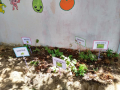 Projeto “Boa alimentação faz bem para o coração”. Escola Municipal Luiz Rodrigues de Araújo. Petrolina-PE. 05/12/2019.