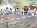 Alunos e professores fazem Visita Técnica ao Parque Zoobotânico