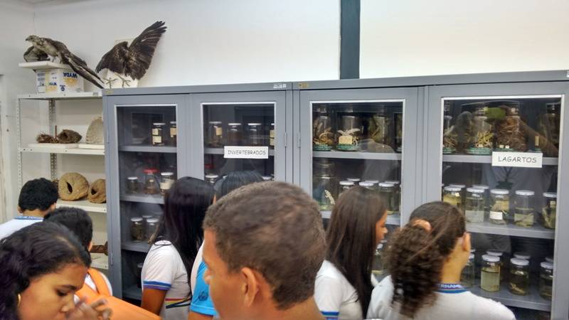 Visita técnica à Embrapa - Escola Estadual Gercino Coelho - Petrolina-PE - 10.11.15