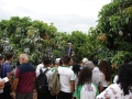 Alunos do Centro Territorial de Educação Profissional do Sertão do São Francisco (CETEP) realizaram visita técnica à Fazenda Best Fruit, no dia 16 de outubro. .