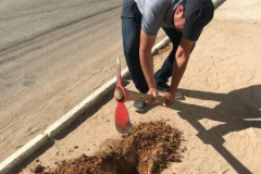 ARBORIZAÇÃO DE COMUNIDADES MOBILIZA MORADORES 