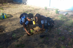 ARBORIZAÇÃO DE ESCOLA MOBILIZA ALUNOS