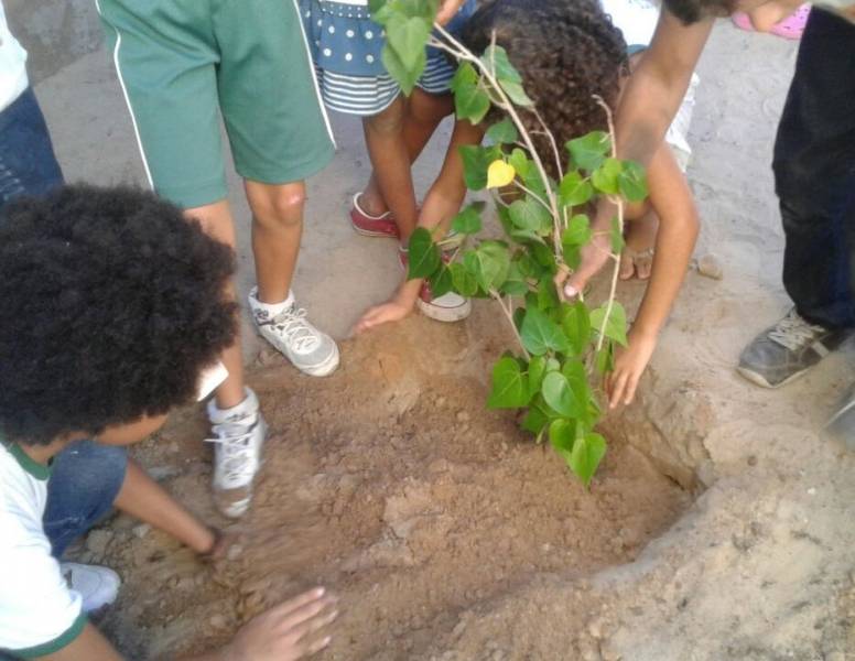 Atividades de Arborização. Escola Professor José Joaquim. Petrolina-PE. 25/05/2017.