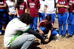 ARBORIZAÇÃO DE ESCOLAS12