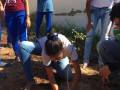 Arborização na Escola Júlia Elisa Coelho, em Petrolina (PE), no dia 22-08.