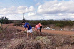 ARBORIZAÇÃO DO PEV EM STA MARIA DA BOA VISTA 