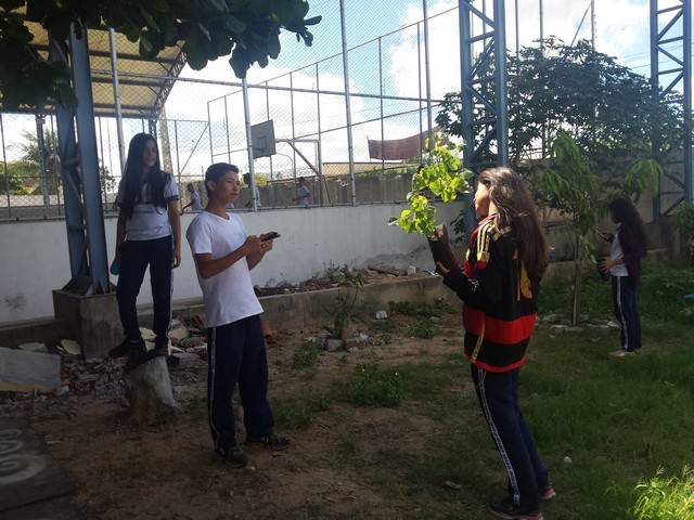 Atividade de Arborização. Escola Clementino Coelho. Petrolina-PE. 14.03.2016