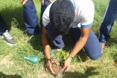 Arborização e horta escolar mobilizam escolas
