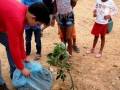 Atividades de Arborização. Escola Maria Hozana Nunes. Juazeiro-BA. 07/07/2017.