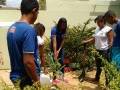 Atividades de Arborização. Escola Antonilho de França Cardoso. Juazeiro-BA. 23-09-2016
