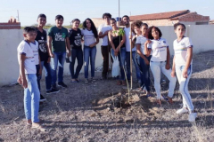 ARBORIZAÇÃO MOVIMENTA 4 ESCOLAS DE PETROLINA-PE