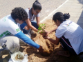 Atividade Arborização. Escolas em Petrolina-PE. 03/09/2019-12/09/2019.