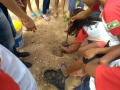Atividade de Arborização mobilizou 110 pessoas nas escolas Municipal Carlos da Costa Silva e EMEI Edivânia Santos Cardoso, em Juazeiro, além do bairro Maringá.