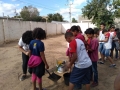 Atividade de Arborização mobilizou 110 pessoas nas escolas Municipal Carlos da Costa Silva e EMEI Edivânia Santos Cardoso, em Juazeiro, além do bairro Maringá.