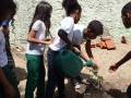 Atividades de Arborização. Escola José Joaquim. Petrolina-PE. 17-11-2016