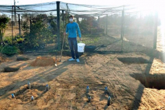 ÁREA PARA COMPOSTAGEM É AMPLIADA NO CCA 