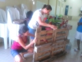 Atividade de jardinagem - Escola Eduardo Coelho - Petrolina-PE - 14 a 18.09.15