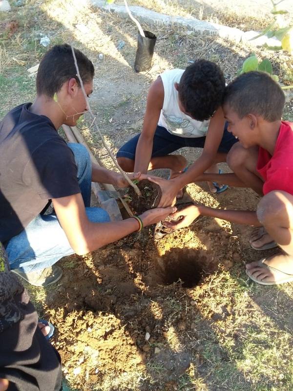 Atividade de arborização - Escola Joca de Souza - Juazeiro-BA - 29.09.15