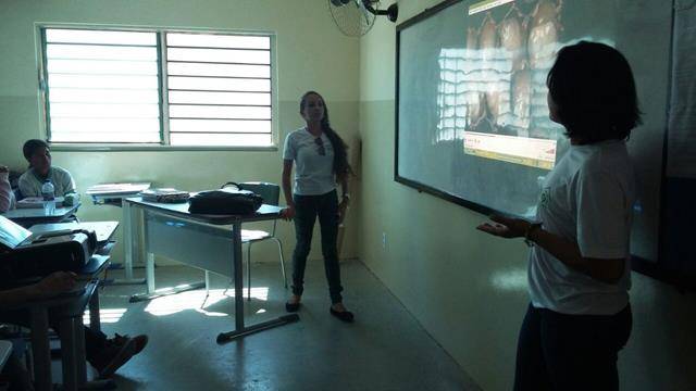 Preservação das abelhas. Escola Marechal Antonio Alves Filho (EMAAF). Petrolina-PE. 08-04-2016