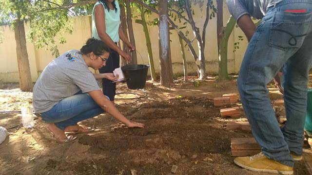 Horta Escola Agroecológica. Escola Rui Barbosa. Juazeiro-BA. 20-05-2016