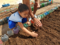 Atividade Horta Agroecológica. Escola CMEI Maria Teresa Brennand Coelho, CAPS. Petrolina-PE, Santa Maria da Boa Vista-PE. 29/10/2019-01/11/2019, 24/10/2019.
