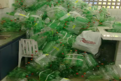 Catadores recebem mias de 2 mil garrafas Pets reunidas por estudantes