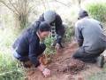 Alunos das esolas municipais de Boituva-SP reslizam a plantação de mudas