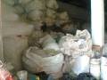Visita à cooperativa de reciclagem Metanga - Juazeiro-BA - 21.09.15