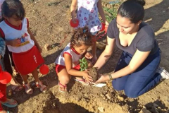 COM ARBORIZAÇÃO, PEV SENSIBILIZA EM ESCOLA E COMUNIDADE