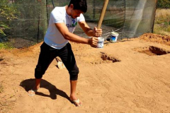 COMPOSTAGEM: DAS LIXEIRAS PARA A MESA