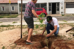 COMUNIDADE DO DISTRITO DE PILAR PARTICIPA DE ARBORIZAÇÃO COM PEV