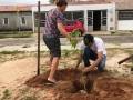 Atividade de Arborização da Comunidade de Pilar. Jaguarari-BA. 18 a 24/03/2019.
