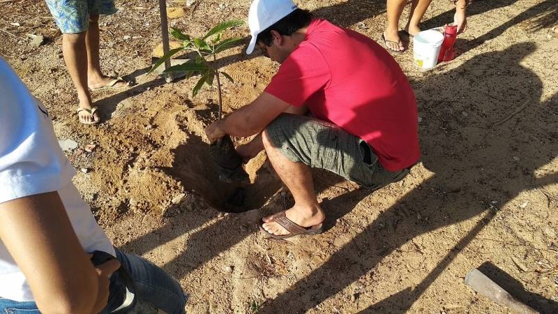 Arborização da Comunidade. Bairro Vila Eduardo. Petrolina-PE. 08/02/2019.