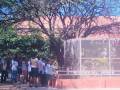 Atividade Visita Técnica ao Parque Zoobotânico. Escola Municipal Rubem Amorim Araújo. Petrolina-PE.  04/09/2019.