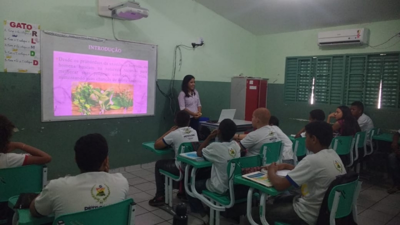 Atividade de Plantas Medicinais com 21 alunos da Escola Municipal Professora Eliete Araújo de Souza, em Petrolina (PE), no dia 17.08.