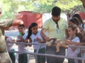 Visita tecnica ao Parque Zoobotanico - Escola Municipal Sao Domingos Savio - Petrolina-PE - 02.12.15(12)