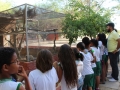 Visita tecnica ao Parque Zoobotanico - Escola Municipal Sao Domingos Savio - Petrolina-PE - 02.12.15(16)
