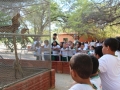 Visita tecnica ao Parque Zoobotanico - Escola Municipal Sao Domingos Savio - Petrolina-PE - 02.12.15(17)