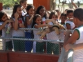 Visita tecnica ao Parque Zoobotanico - Escola Municipal Sao Domingos Savio - Petrolina-PE - 02.12.15(6)