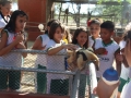 Visita tecnica ao Parque Zoobotanico - Escola Municipal Sao Domingos Savio - Petrolina-PE - 02.12.15(7)