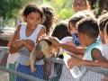 Visita tecnica ao Parque Zoobotanico - Escola Municipal Sao Domingos Savio - Petrolina-PE - 02.12.15(9)