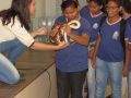 Visita Técnica ao Centro de Manejo da Fauna da Caatinga (CEMAFAUNA). Escola Hildete Lomanto. Juazeiro-BA. 24/07/2017.