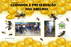  Cuidados e preservação das abelhas