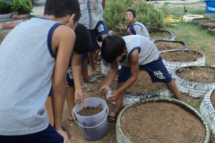 CULTIVANDO HORTAS AGROECOLÓGICAS