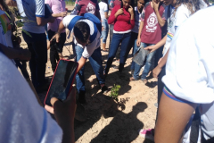 DIA DO MEIO AMBIENTE É COMEMORADO NA ORLA DE PETROLINA-PE
